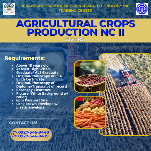 Visual Graphic Design Illustration